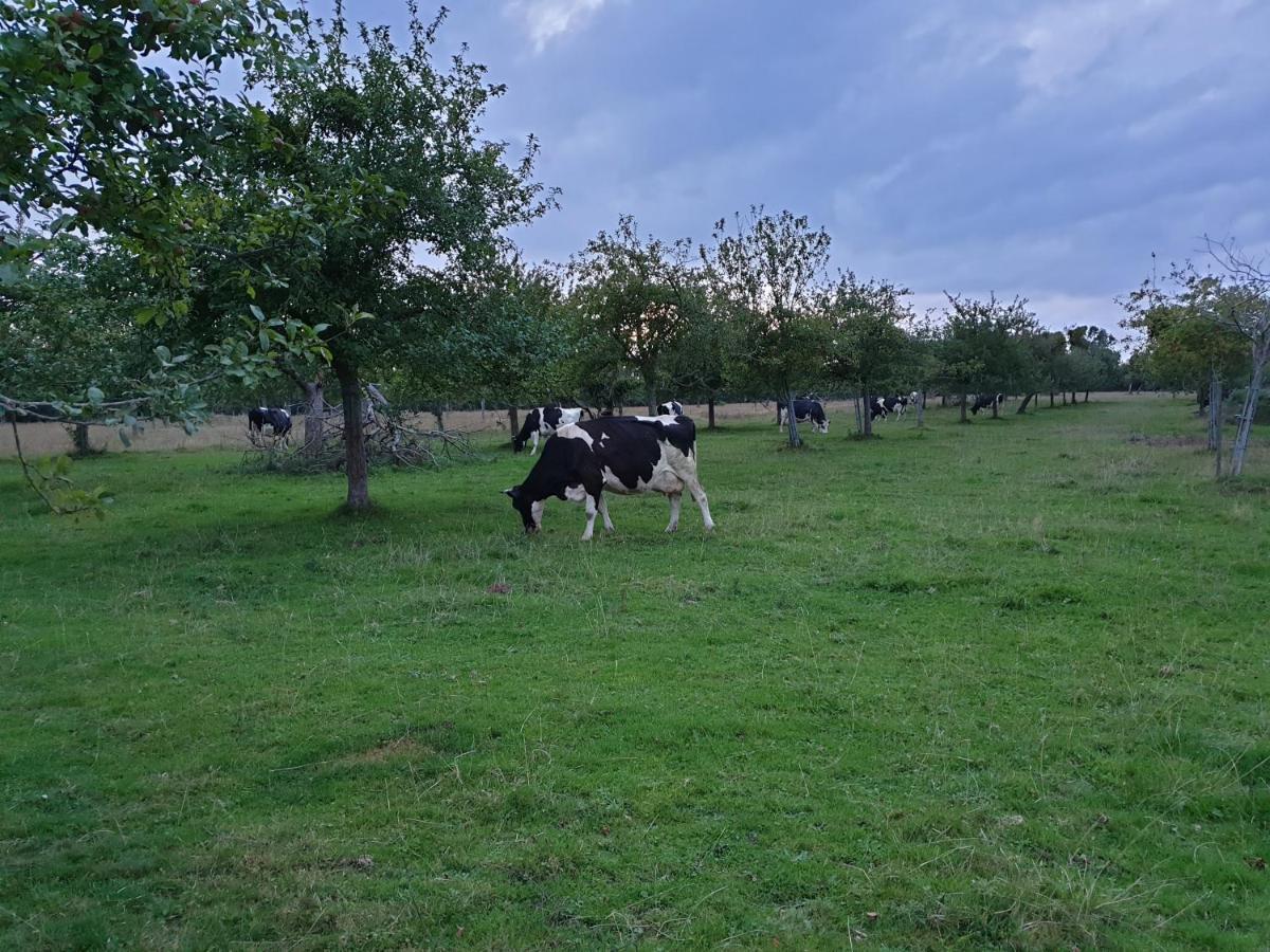 La Ferme Chevalier Hotel Equemauville Bagian luar foto